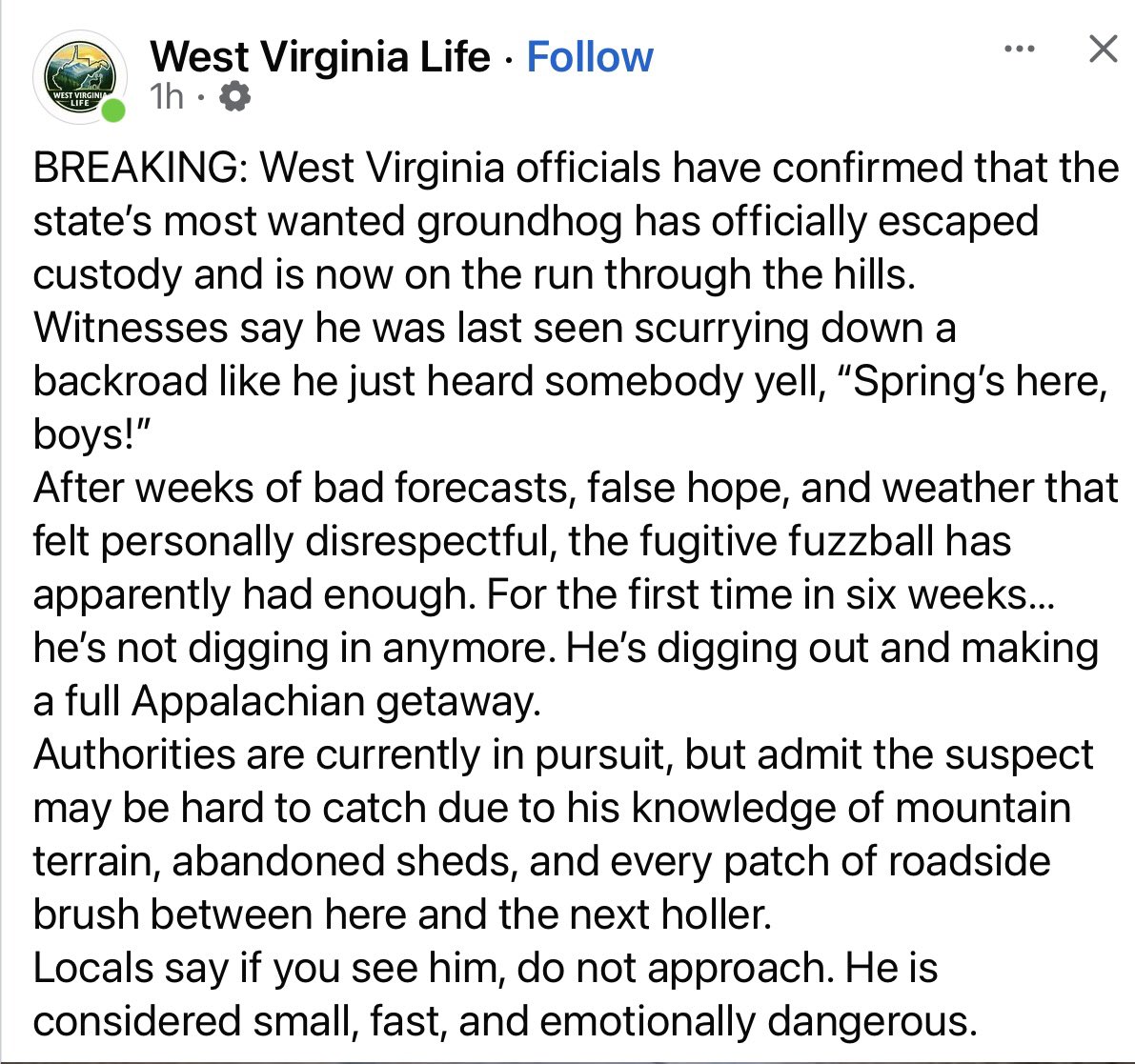 Jeff Lamb tweet media