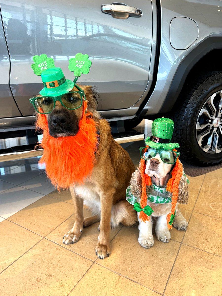 DevanLoweInc's tweet photo. May the leprechauns be near you,
To spread luck along your way.
And may all the Irish angels,
Smile upon you St. Patrick’s Day.

Happy St. Patrick’s Day! 🍀🍀🍀 https://t.co/0rvxQUYzXy