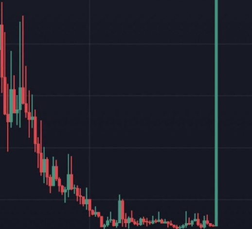 Kubo 🤍 tweet media