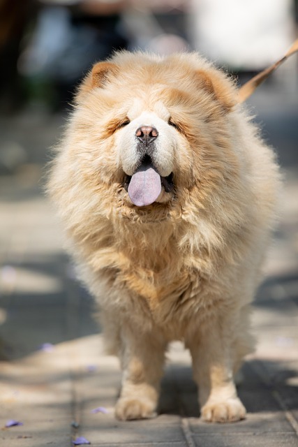 Paula Austin tweet media