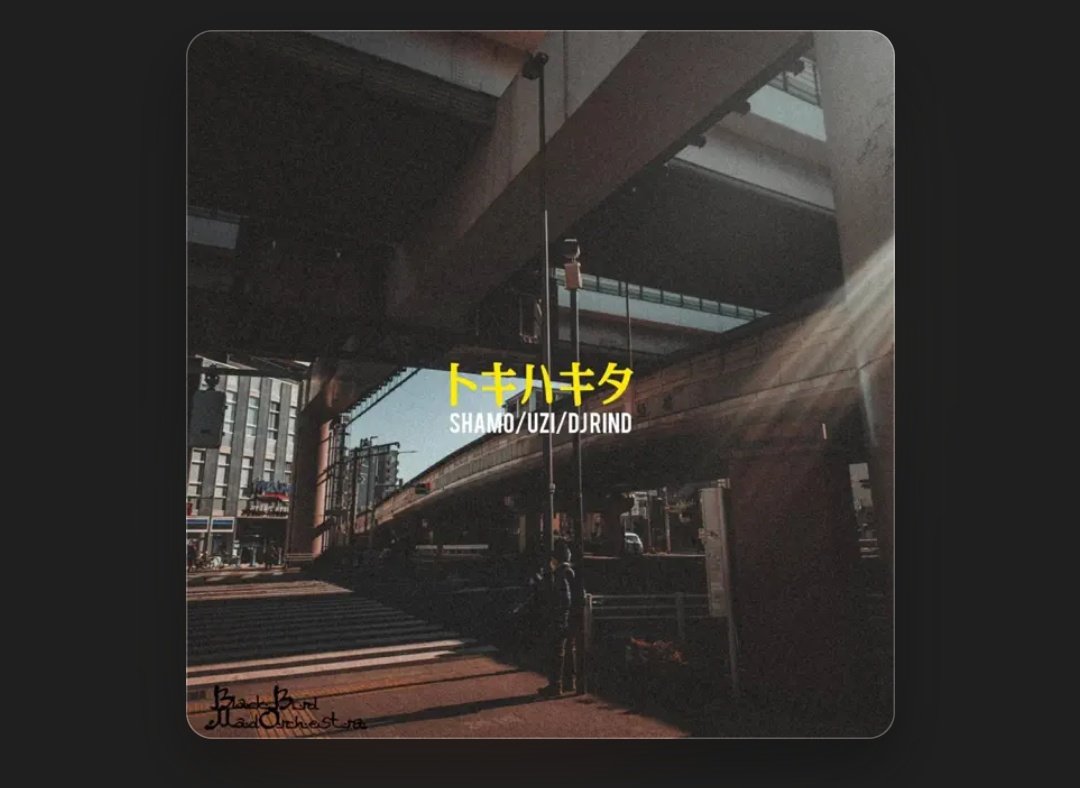 SHAMO//BBMO tweet media