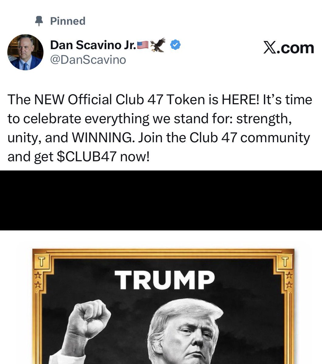 ALX 🇺🇸 tweet media