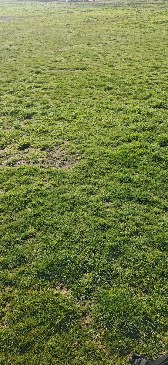 Mario Salamanca tweet media