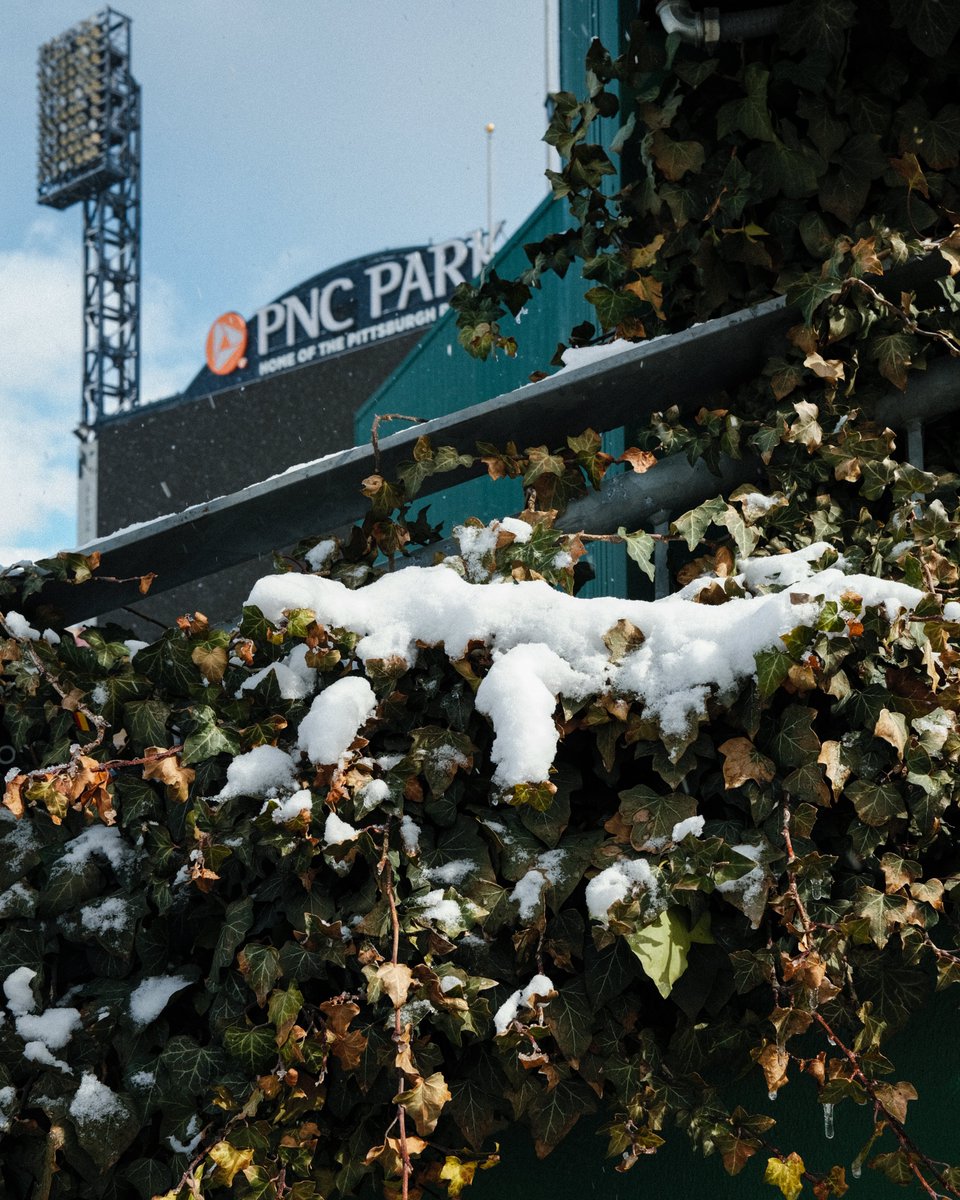 Pittsburgh Pirates tweet media