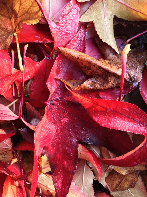 Holly Simpson tweet media