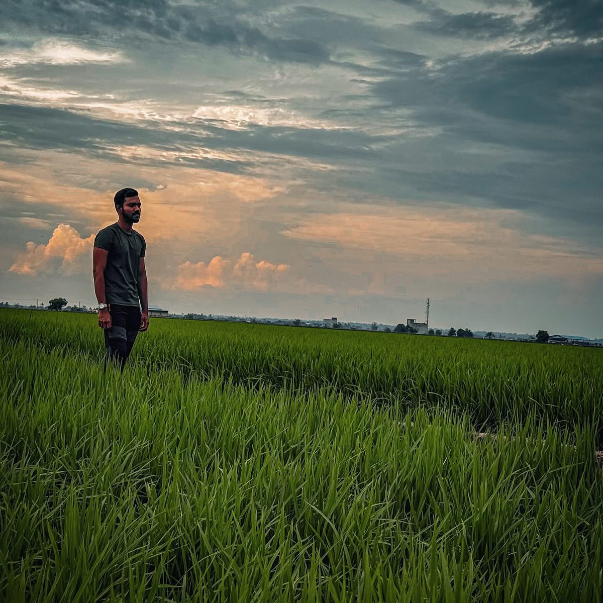 navanis98's tweet photo. Stories grow here, one grain at a time 🌾

#sekinchan #selangor #paddy #paddyfield #nature #tropical
#muddy #hike #hiking #lovenature #healing https://t.co/icaDuCZCYZ
