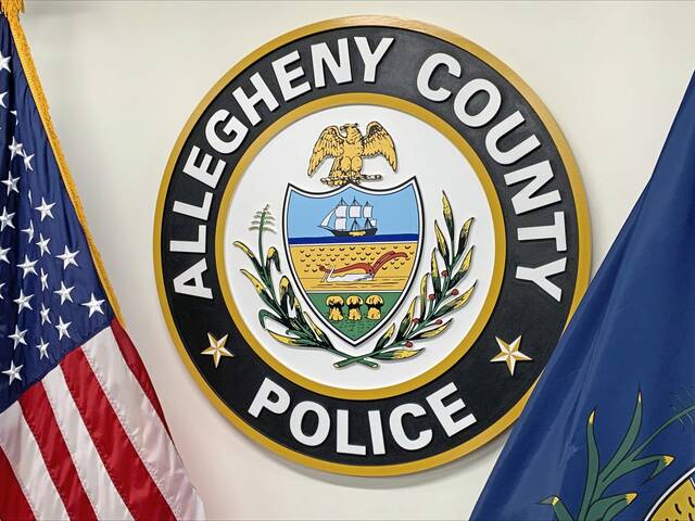 JVTheTrib's tweet photo. A #Clairton man is headed to trial for attempted homicide after @AlleghenyCoPD say he rammed his ex-partner’s car, then attacked her with a hammer following a child-custody exchange.
Vance Gibson Jr., 28, is being held in @Allegheny_Co Jail w/o bail. @TribLIVE
LINK IN COMMENTS https://t.co/ESujvw4kra