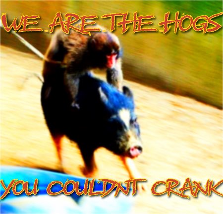 space turtle earther tweet media