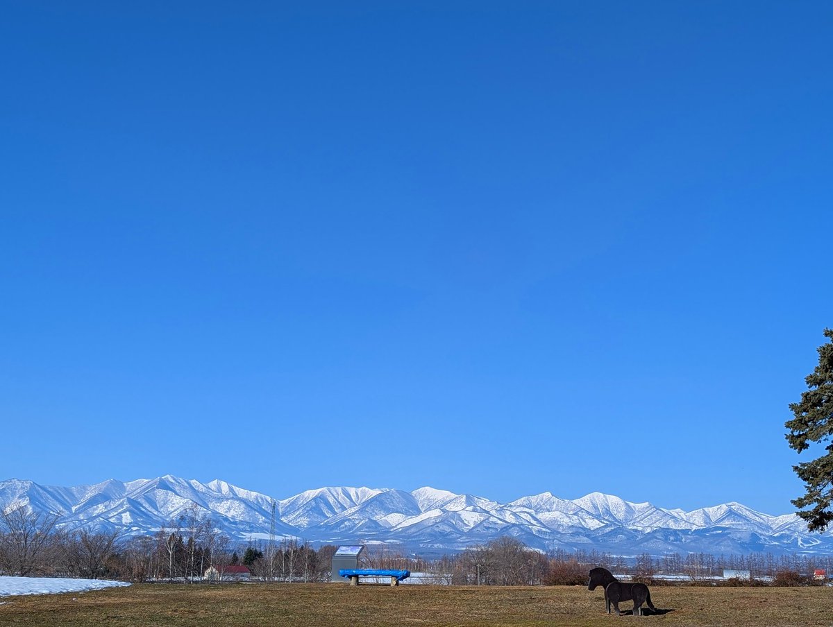 えむとら🐯 tweet media