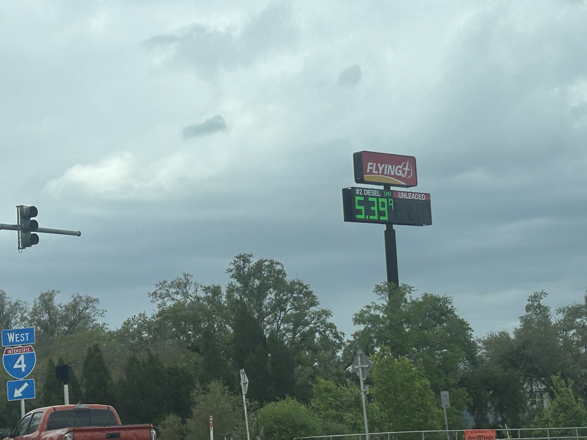 FaTheFree. 🥥🌴 tweet media