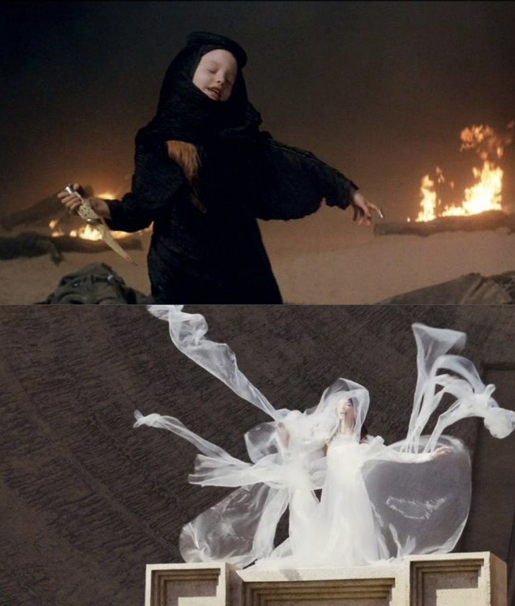 chef quibs scytale⁶³ 🐍 tweet media