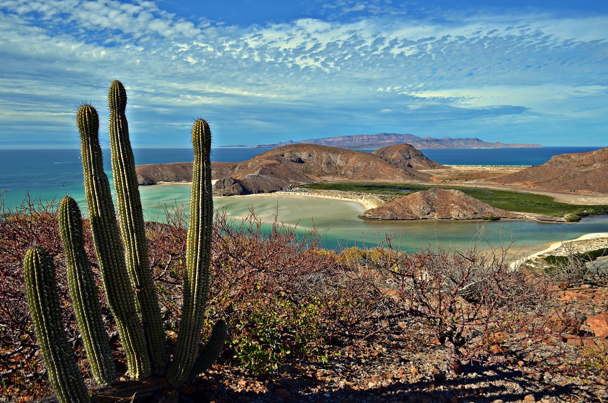 VisitMex's tweet photo. Sol, mar y momentos que se quedan contigo. ☀️🌊
Vive Baja California Sur. ✨

#BajaCaliforniaSur #SolYPlaya #VisitMexico #México https://t.co/Cw5WVnLrek