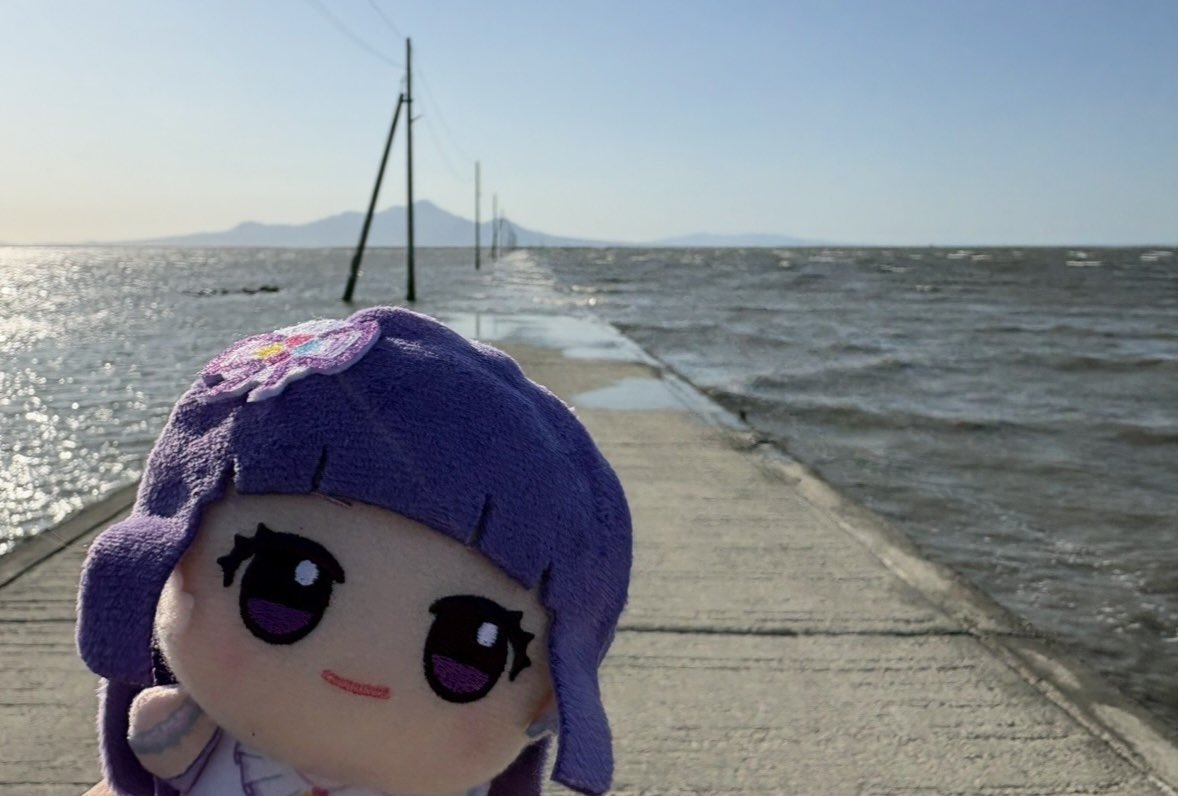 にゃんこ tweet media