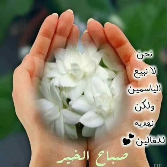 Ahlam Altorboshy A tweet media