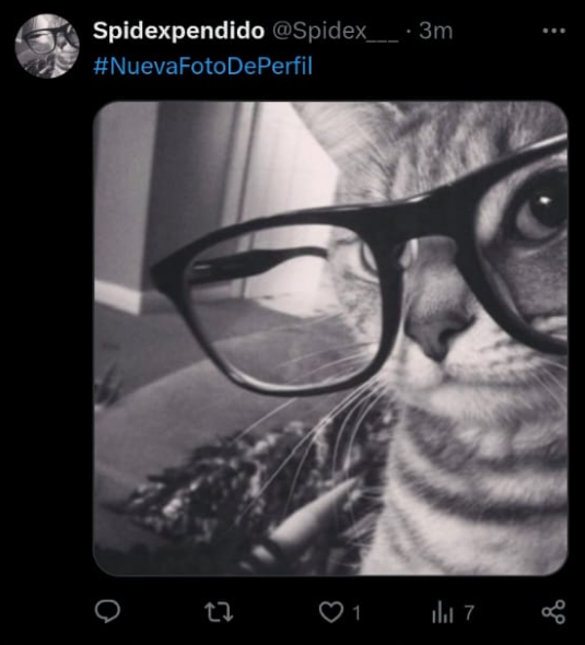 LidoZeta tweet media