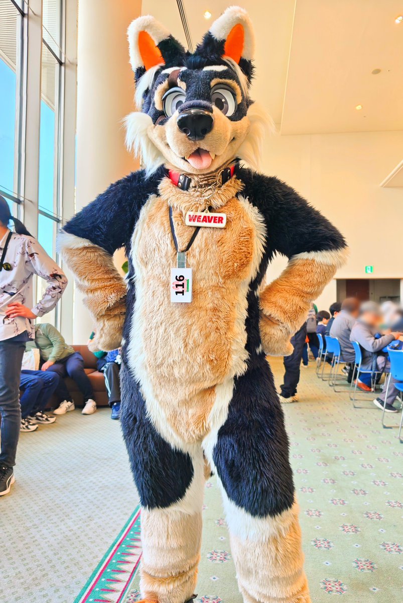 こーん tweet media