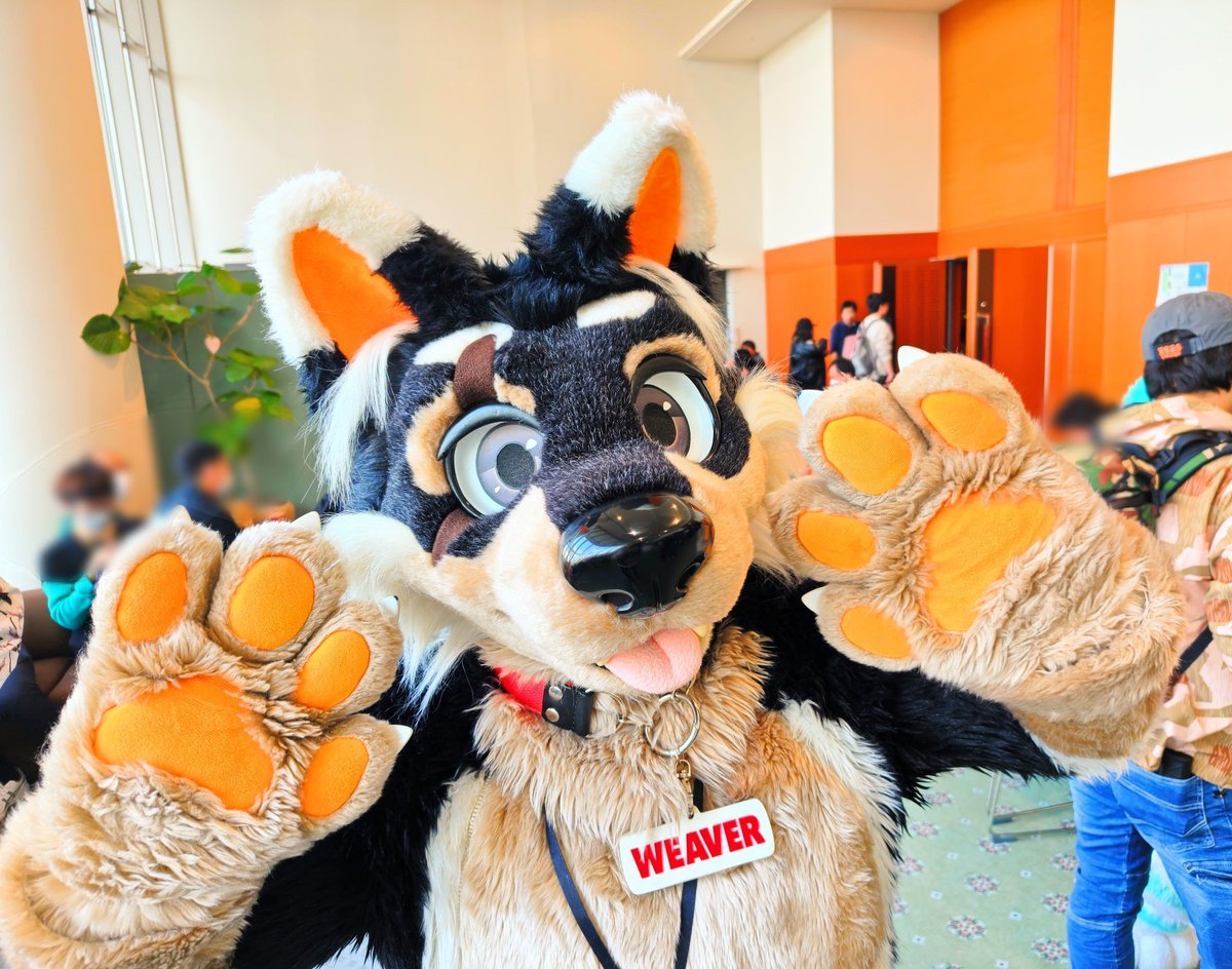 こーん tweet media