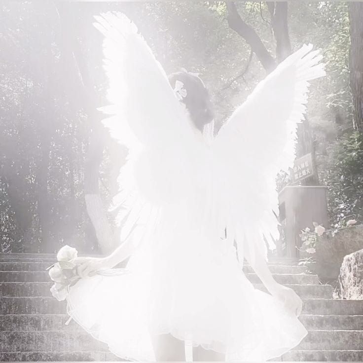 ৎ𝄢𝐀𝗌𐐼𝒆𝗺͟๑𝗻 tweet media