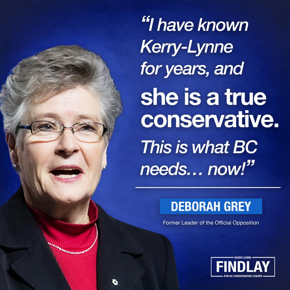 Kerry-Lynne Findlay tweet media