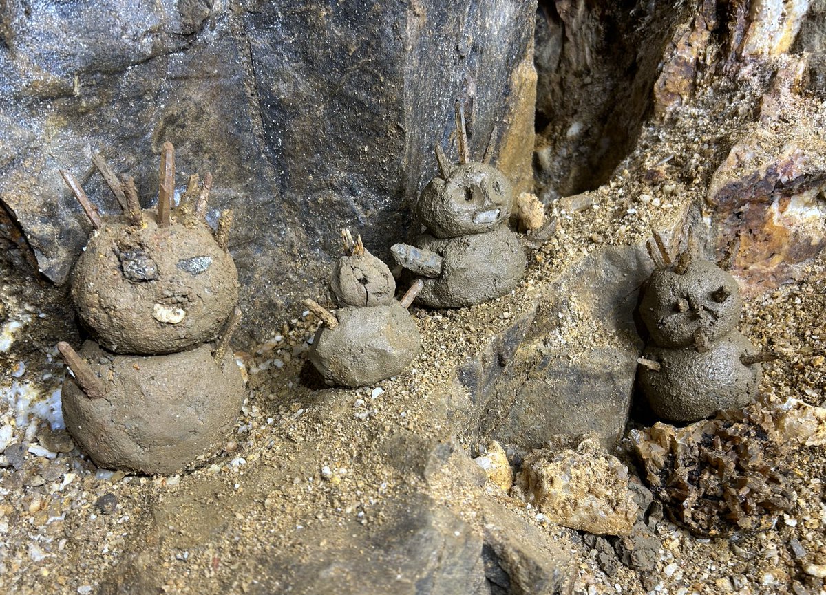 【自然遊撃隊】こうへい⛏️ tweet media