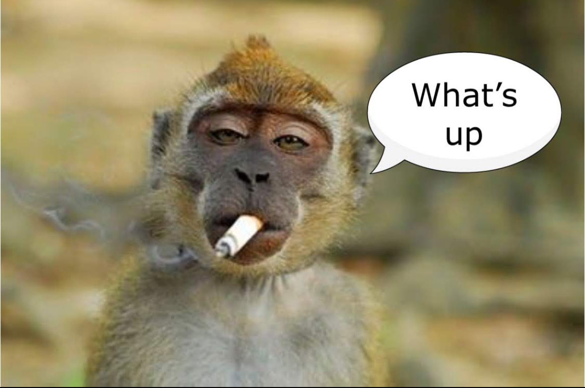 HellPriest tweet media