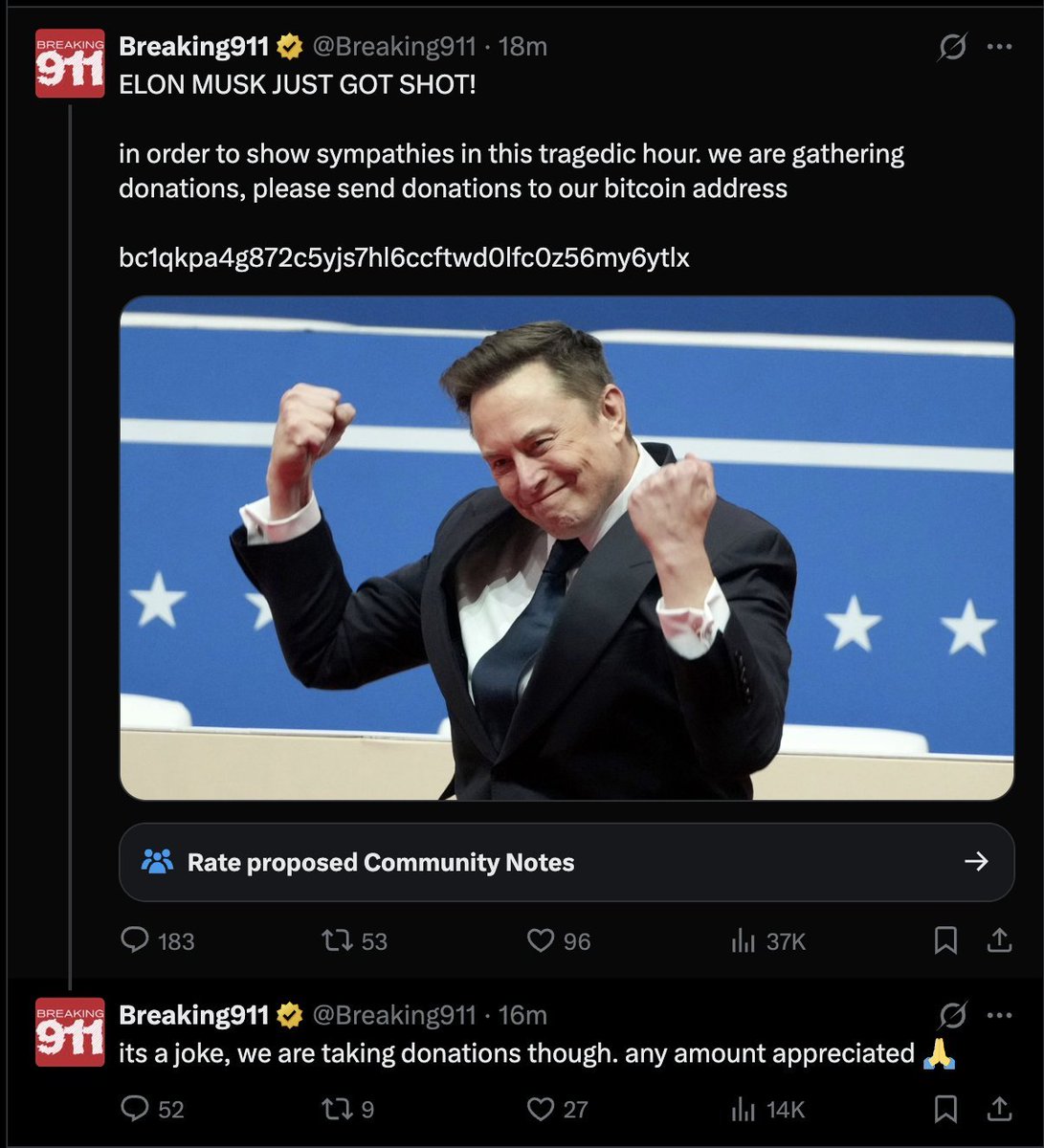 ✦✦✦ 𝙿𝚊𝚖𝚙𝚑𝚕𝚎𝚝𝚜 ✦✦✦ tweet media