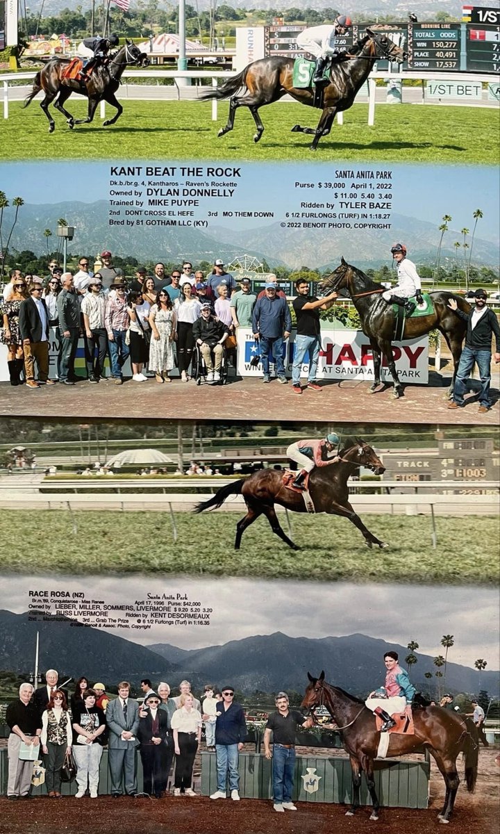 Eileen Penaloza Donnelly tweet media