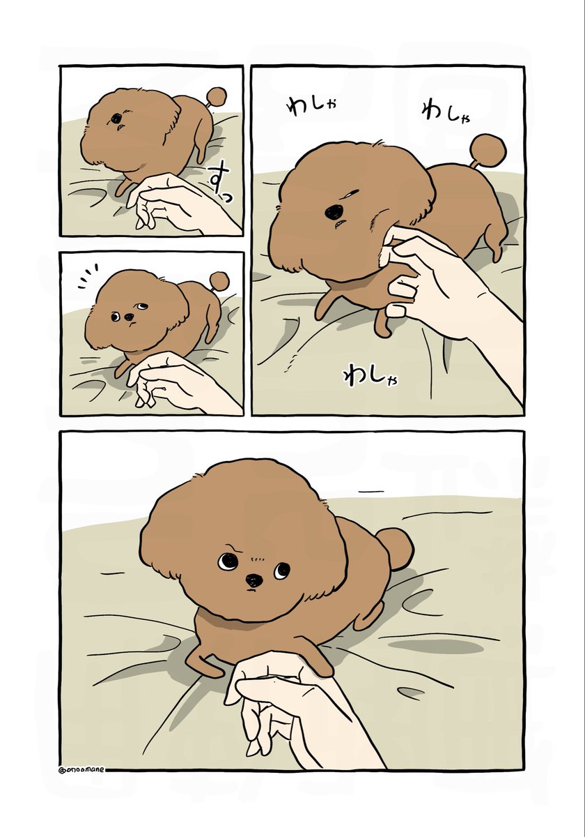 おのあまね tweet media