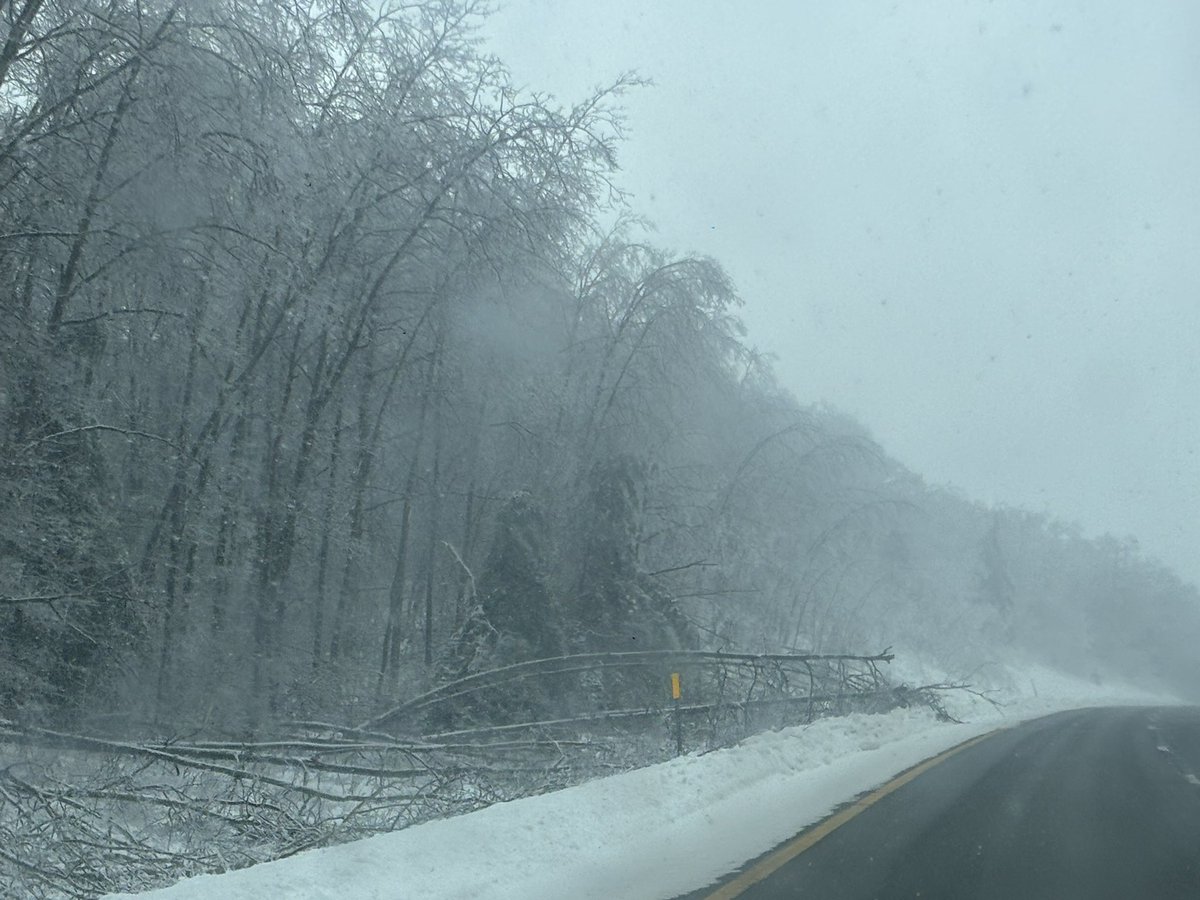 Jack Peltz tweet media