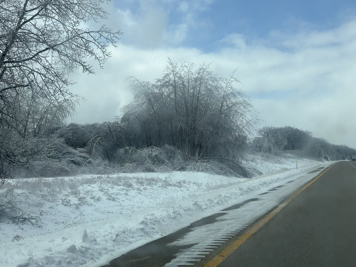 Jack Peltz tweet media