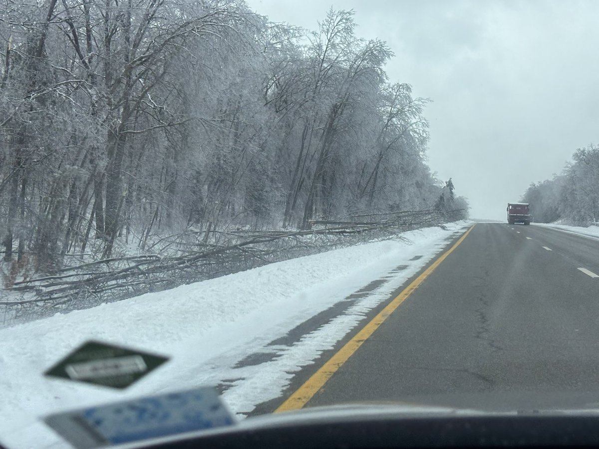 Jack Peltz tweet media