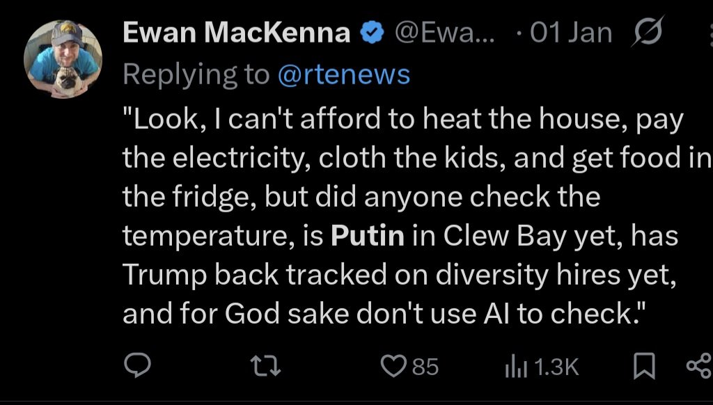 Séamus 🇮🇪🇭🇰🇹🇼🇺🇦🇪🇺 tweet media