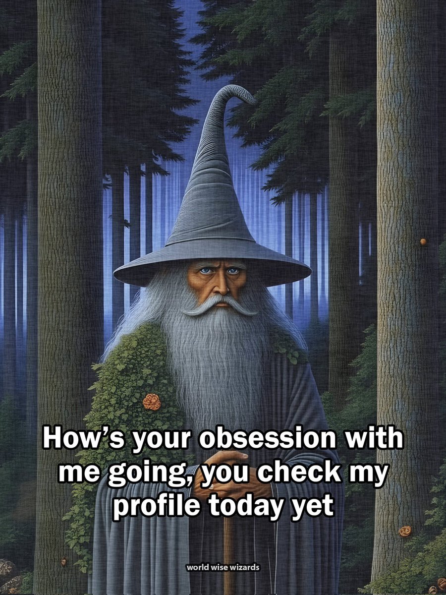 World Wise Wizards tweet media