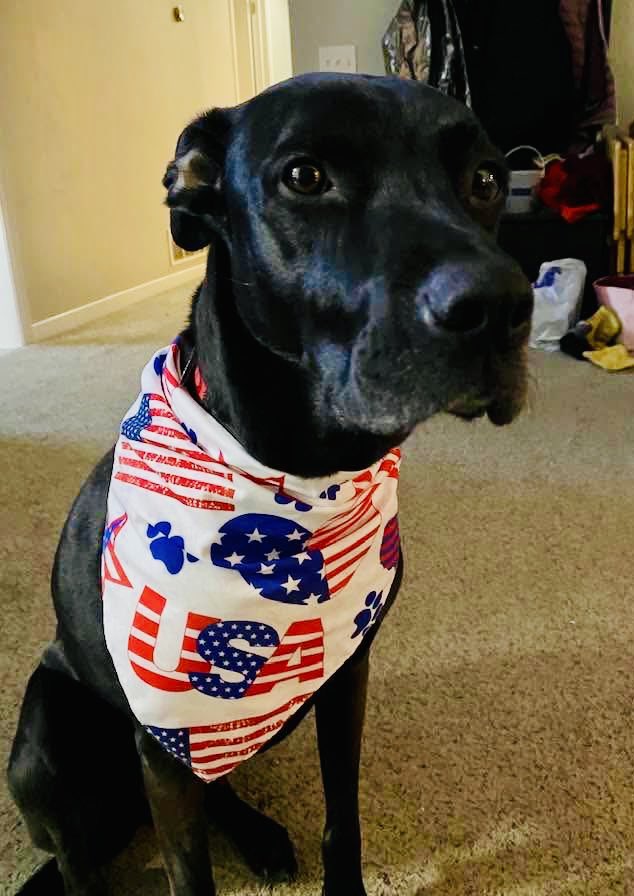 Phill Drobnick tweet media