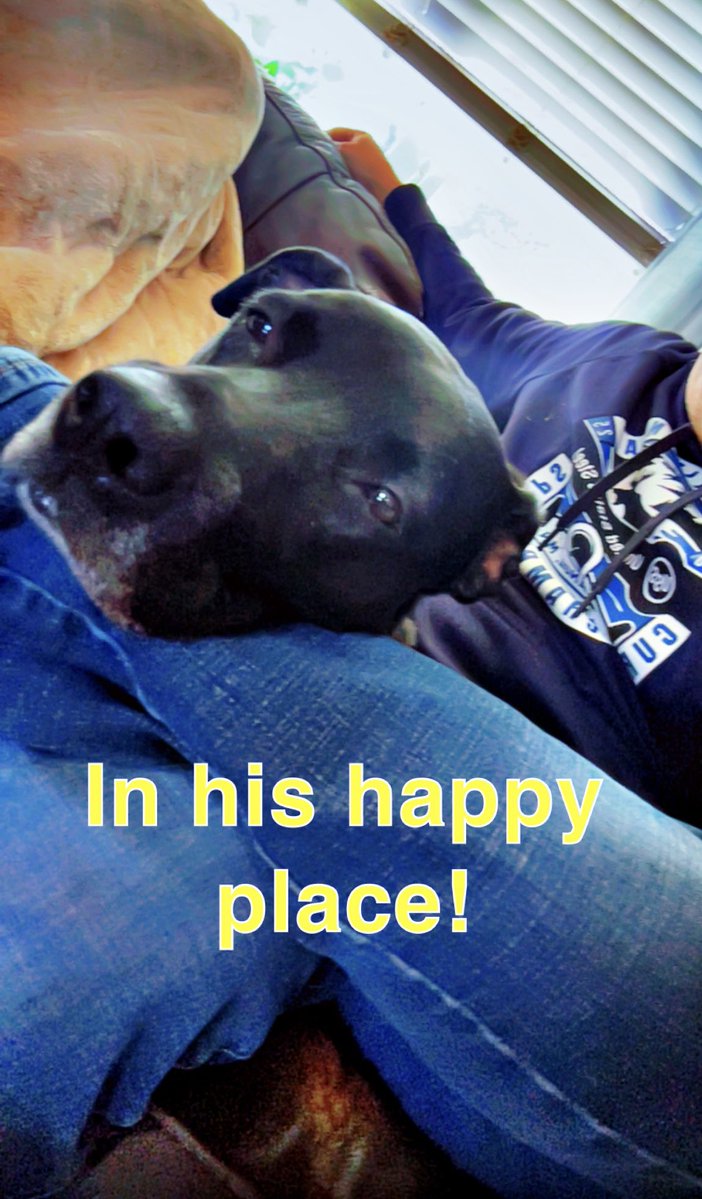 Phill Drobnick tweet media