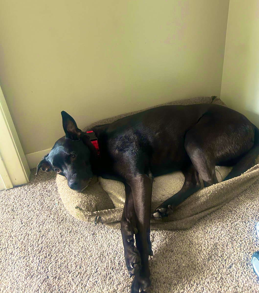 Phill Drobnick tweet media