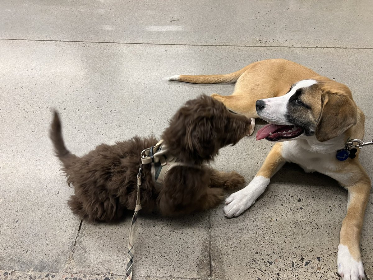 Mike Shoreman tweet media