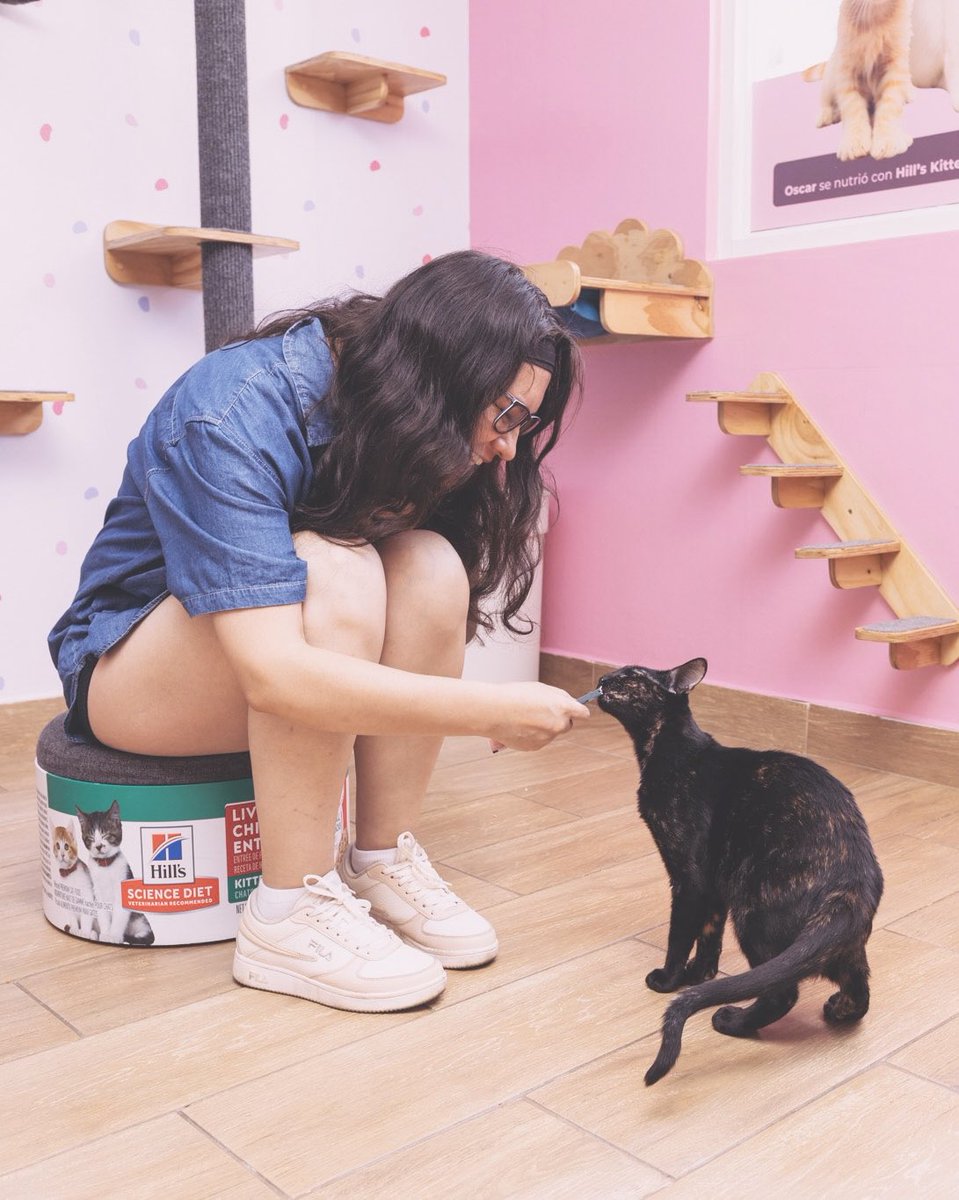 Adoptamiu tweet media