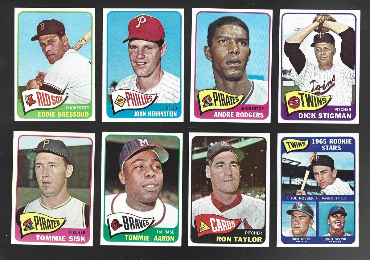 Timothy Poth tweet media