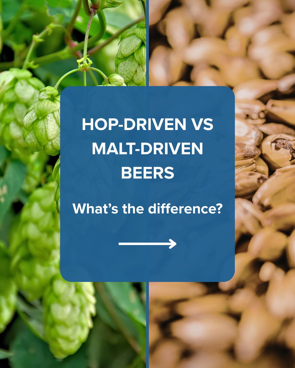 WSETglobal tweet media