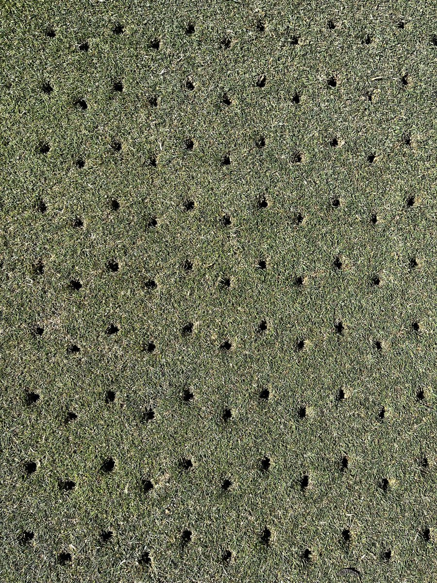 Daniel Mills tweet media