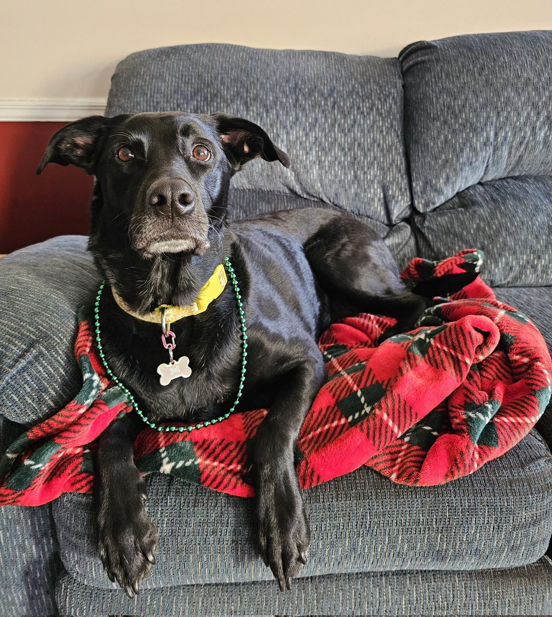 Kacie 🍀 tweet media