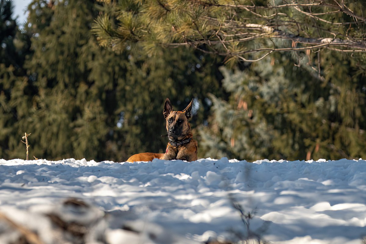 The Only James Magelk tweet media