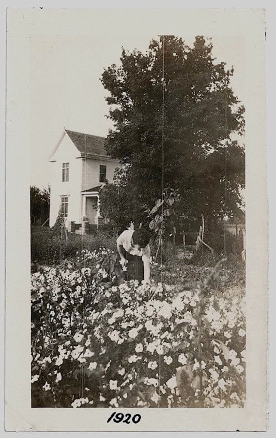 Rilkean Heart tweet media