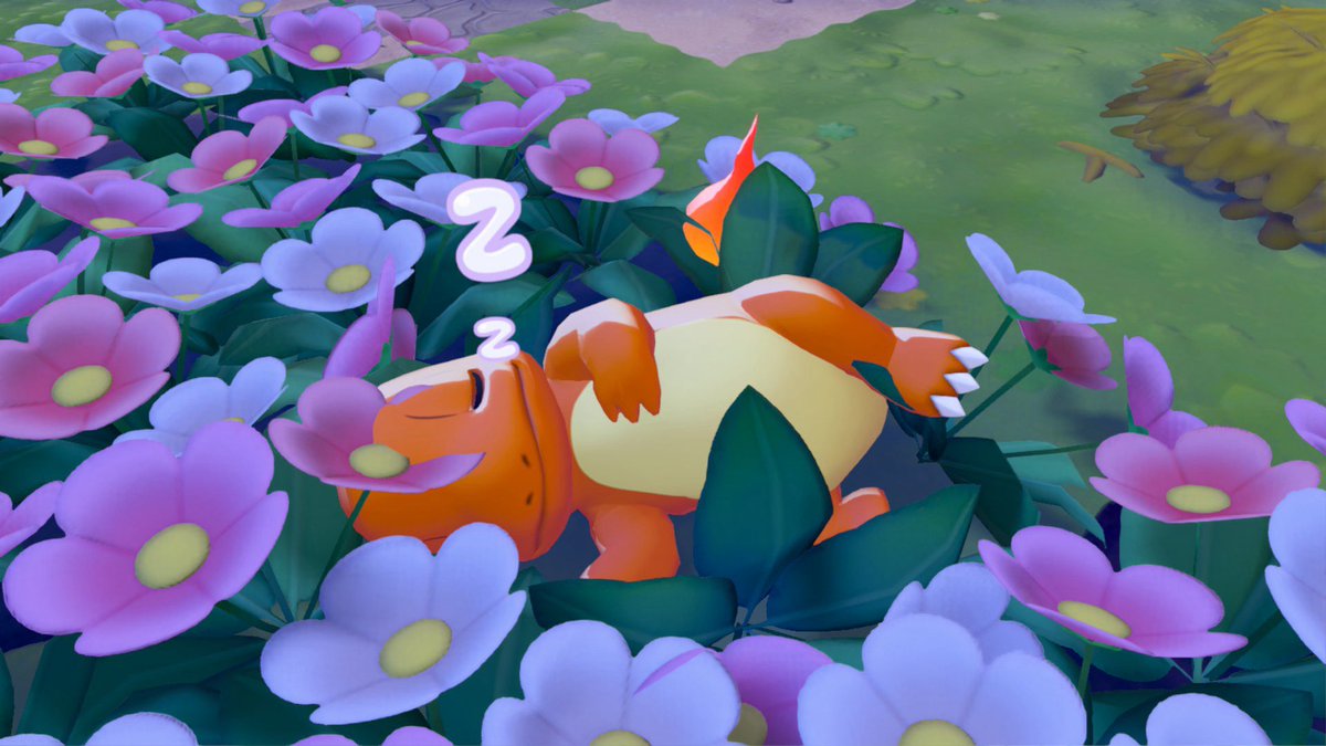 Kami 🌸 tweet media