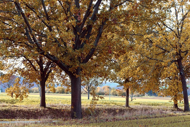 Hadi Samuel tweet media