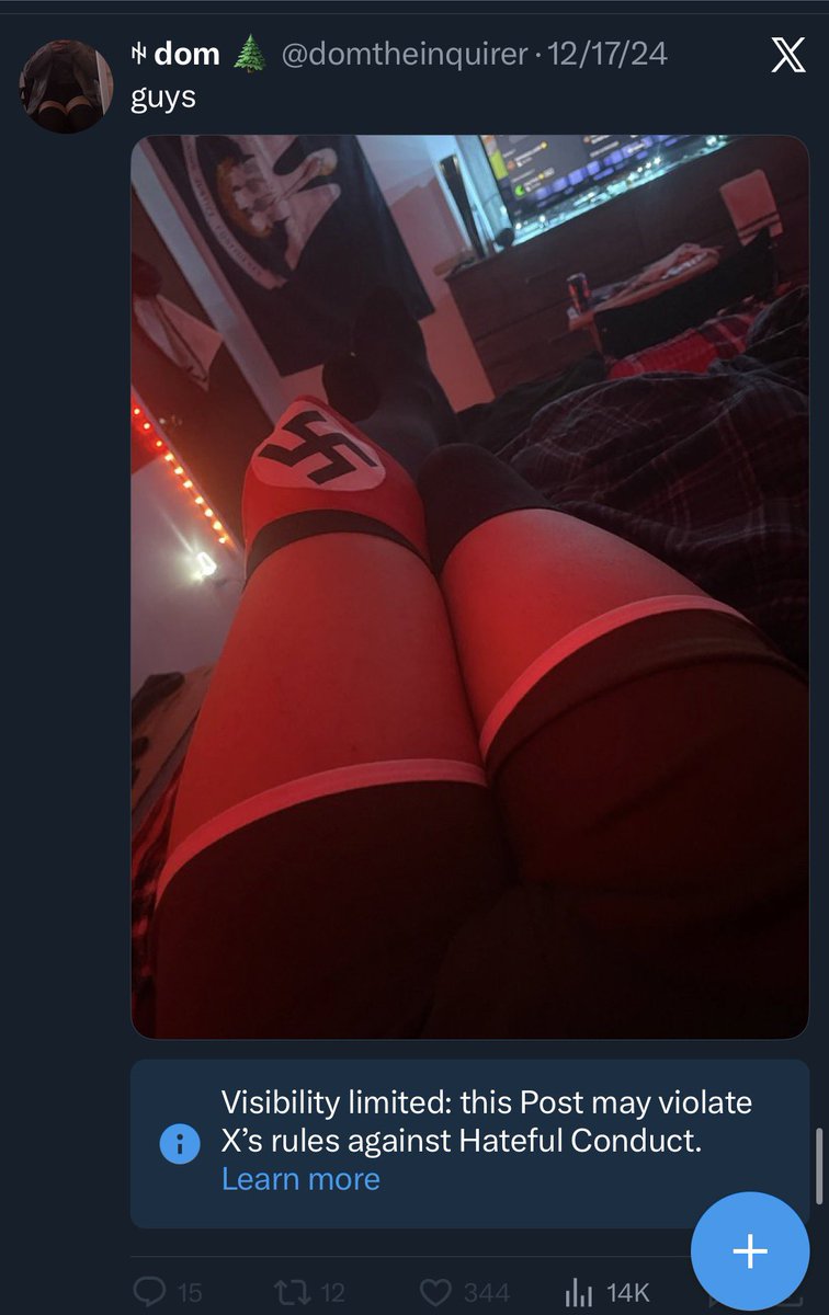 stornelli 🌲 tweet media