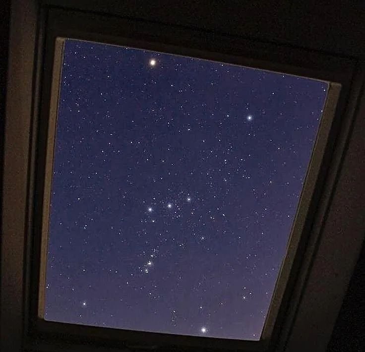 thinxspic's tweet photo. Star-written story https://t.co/H5Zo2ODqXA