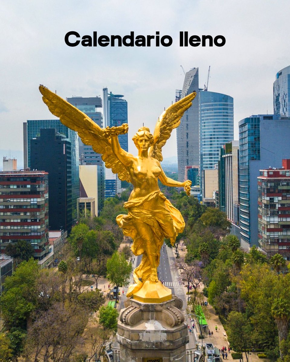 deportours's tweet photo. Bendita CDMX 🫶🏻

No importa que liga o que deporte sigas, este año si o si vas a poder vivir la experiencia en la capital chilanga.

A donde quieras ir, te llevamos 😉 https://t.co/MLcyv2OHbo