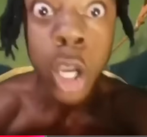 hairless creature tweet media